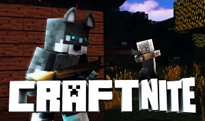 Craftnite.io